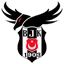 Beşiktaş Esports