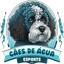 Cães de Água