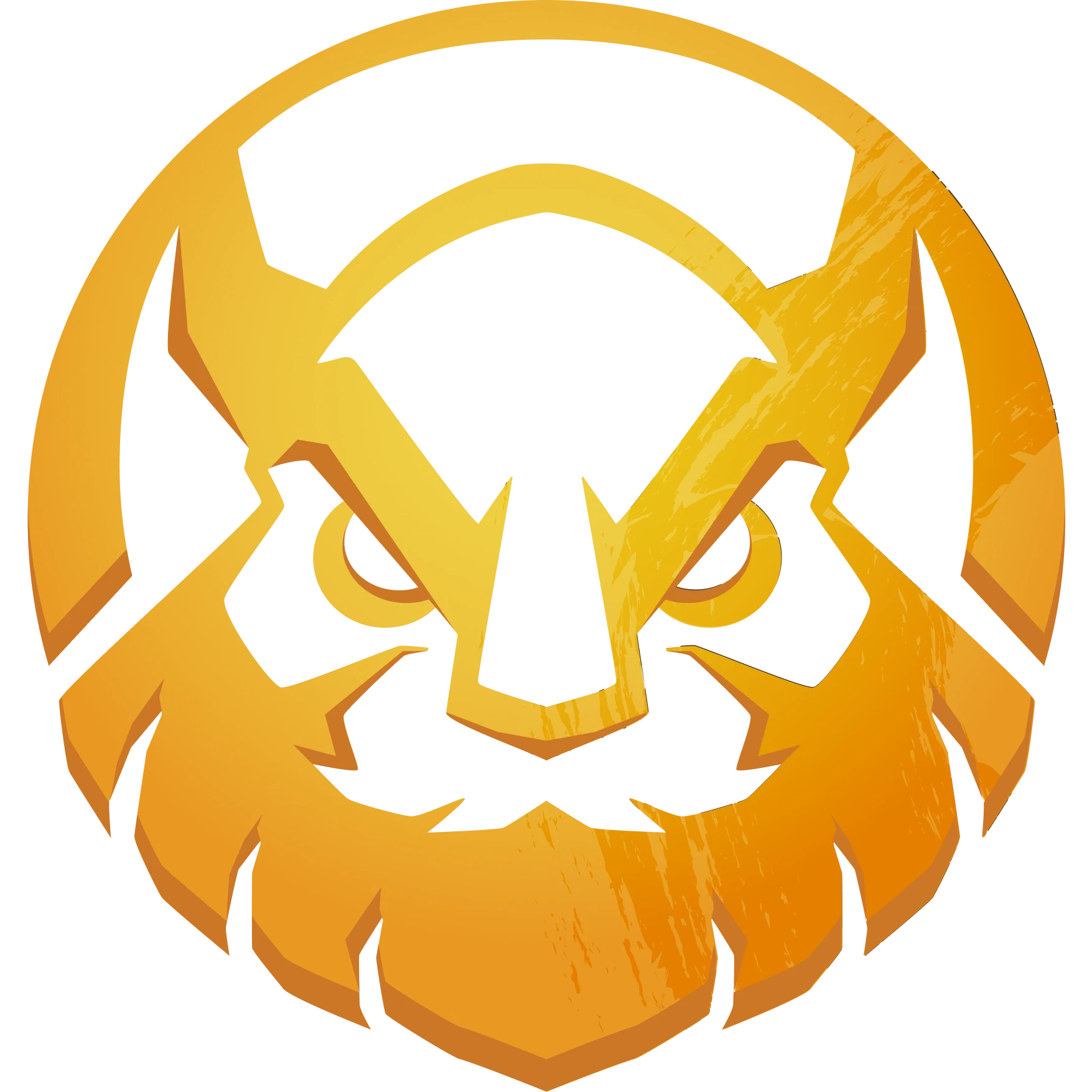 MGN Vikings Esports