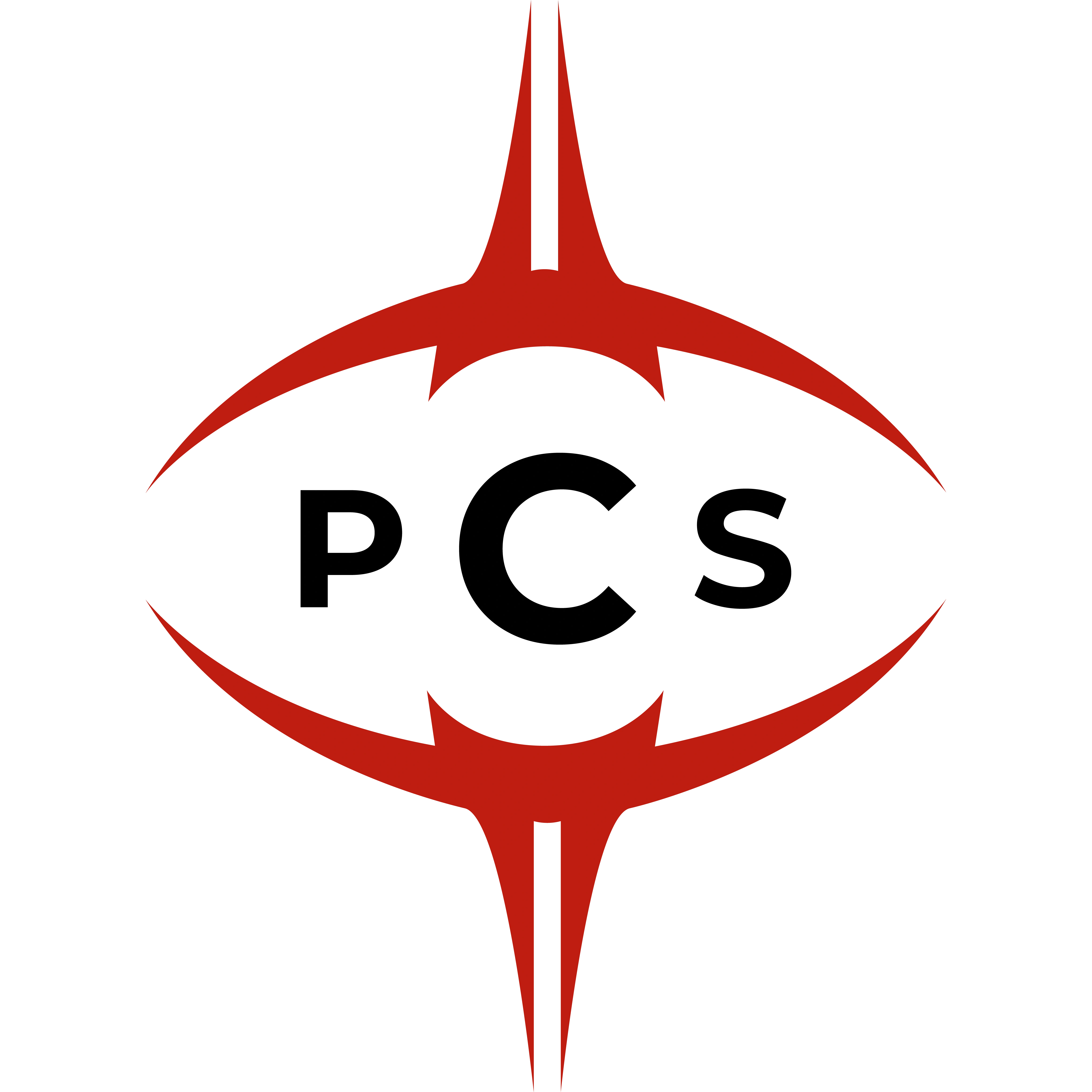 Project Conquerors