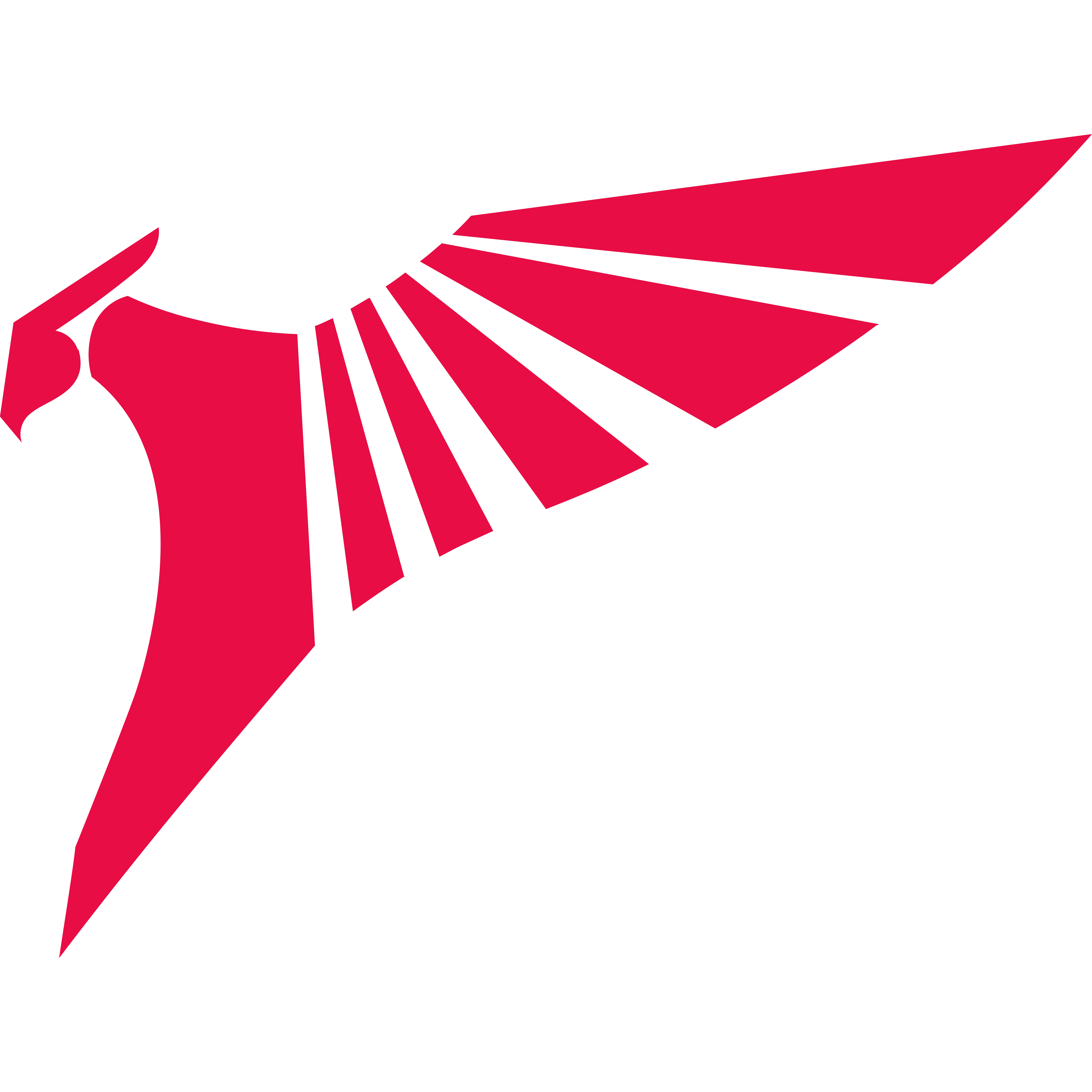 TALON (Hong Kong Team)