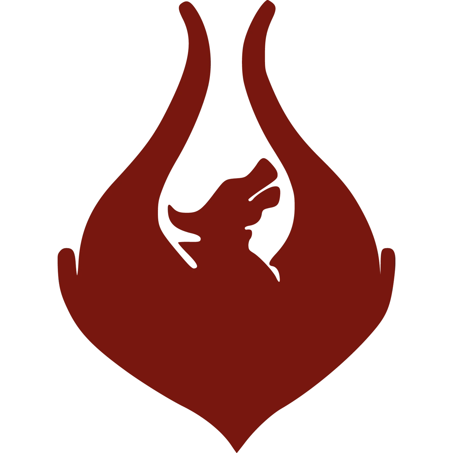 Team Phoenix (Turkish Team)