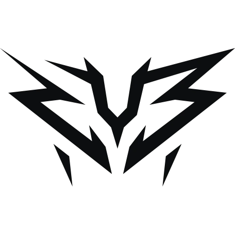 ZYB Esport